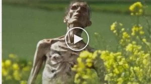 28 лет спустя (2025) ** русский сериал