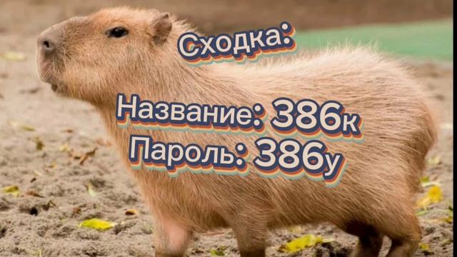 Сходка на 300 подписчиков!🎉 (Советую заходить с впн, если не работают сервера).