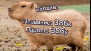 Сходка на 300 подписчиков!🎉 (Советую заходить с впн, если не работают сервера).