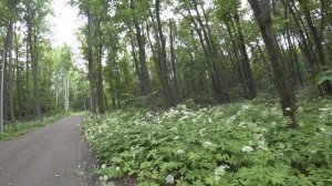 Широкий угол съёмки
Релаксация