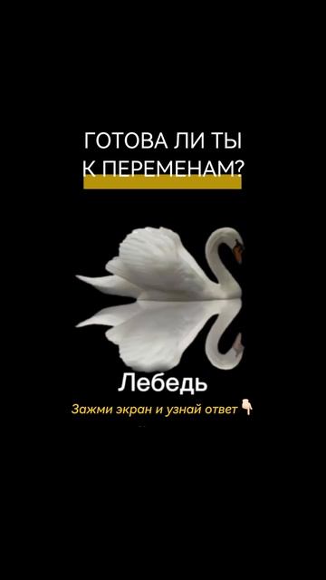 Ответы👇🏻Бабочка - Даже если ты никогда не стремилась к огромному богатству и славе