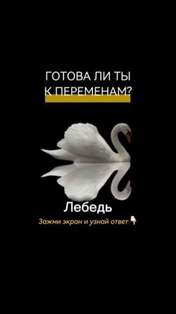 Ответы👇🏻Бабочка - Даже если ты никогда не стремилась к огромному богатству и славе