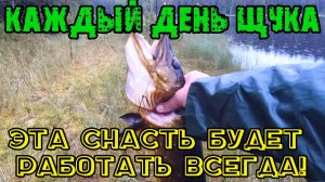 Ловля щуки дедовским способом. Эта снасть на щуку будет работать всегда! Каждый день щука.