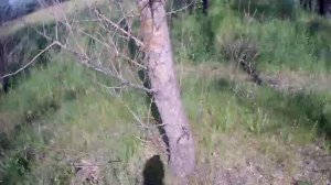 Покатушки на природу №36.😊