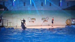 Нижегородский дельфинарий 🐬