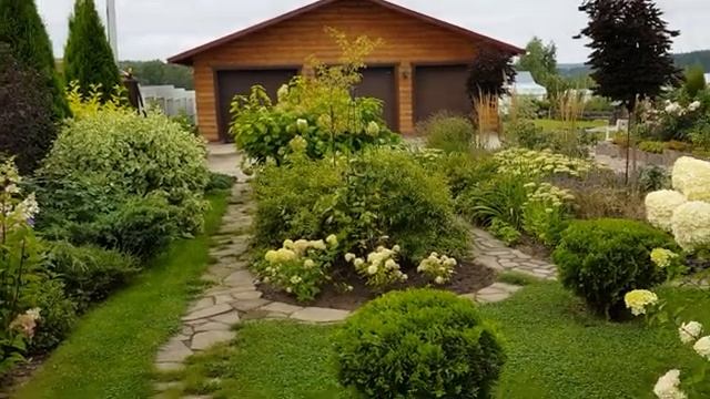 Что растет у меня на даче часть (7)
