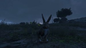 Поиск лофафор, в ГТА 5. Часть 2.