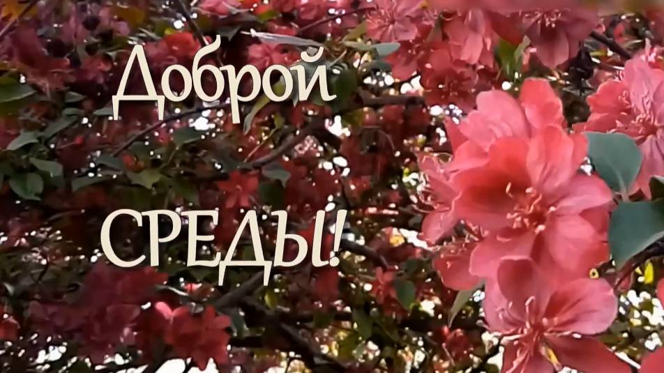 Доброго утра СРЕДЫ