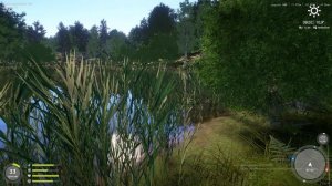 РР4 МЕДНОЕ ФАРМ В ПОНИЖЕННУЮ КАРПЫ.