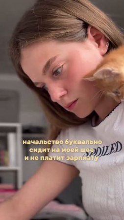 Хорошо устроился