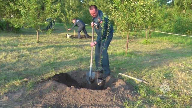 В Красноярске появилась аллея пожарного надзора