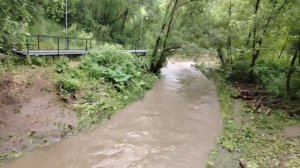 Экотропа на Егошихе. Участок от Скорбящей до подъема на Городские горки |Отряд Медиаиндустрия 2025