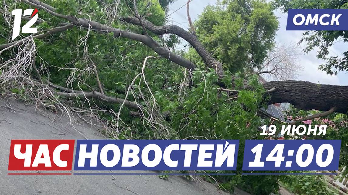 Устраняют последствия непогоды / Вручили паспорта / Уникальные панно. Новости Омска