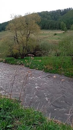 Отдых для души