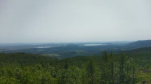 уральский барс