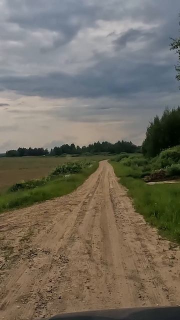 Едем на коп #shorts #находкисметаллоискателем #metaldetecting #едемнакоп #загород