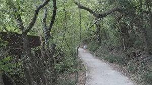 Пешком по маршруту Ялта - Ласточкино гнездо (Крым).