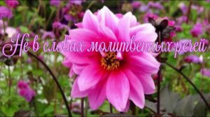 Не в словах молитвенных речей
