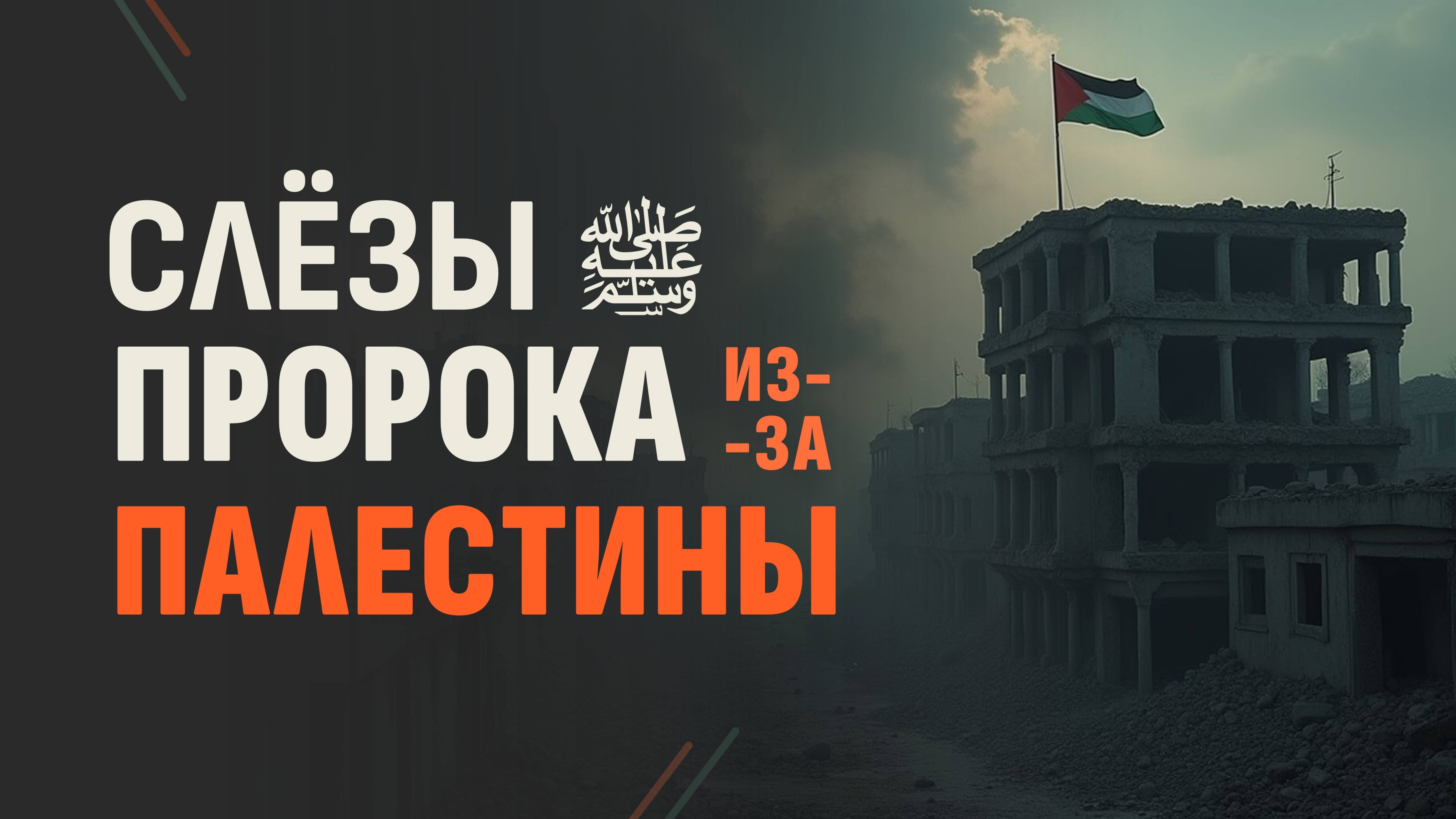 Три истории людей видевших пророка Мухаммада во сне | От автора канала