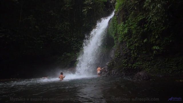 Смотреть видео онлайн