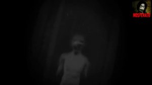 ВОВ. Страшные истории на ночь 🫣🫣🫣