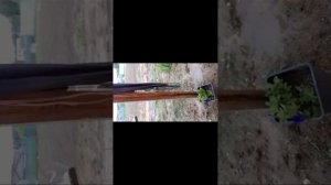 обзор на полку