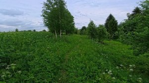 Просто сходил за водой в деревне на Русском Севере
