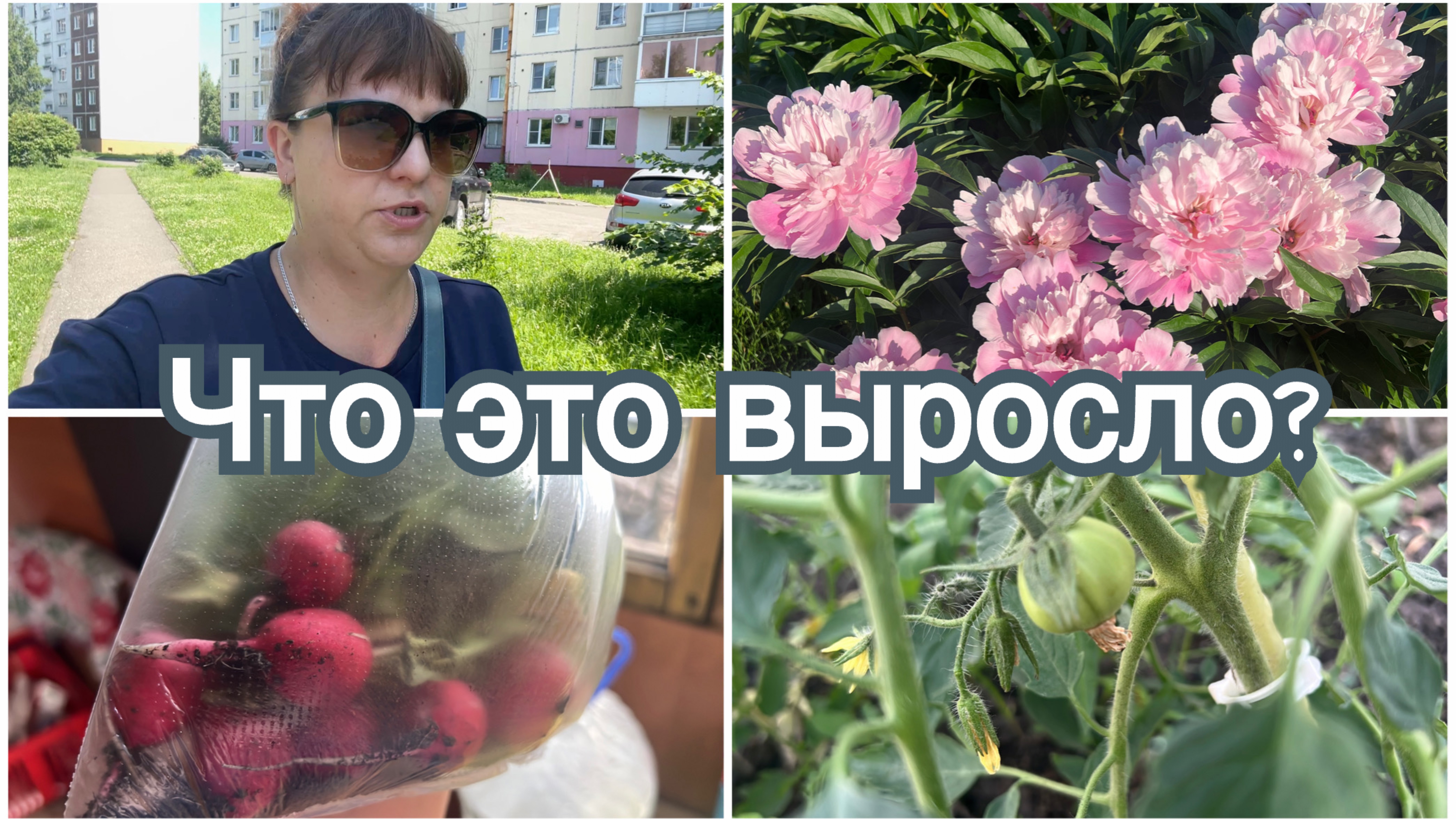 Первый помидор. Невыносимая жара в Сибири. Вкусный салат.