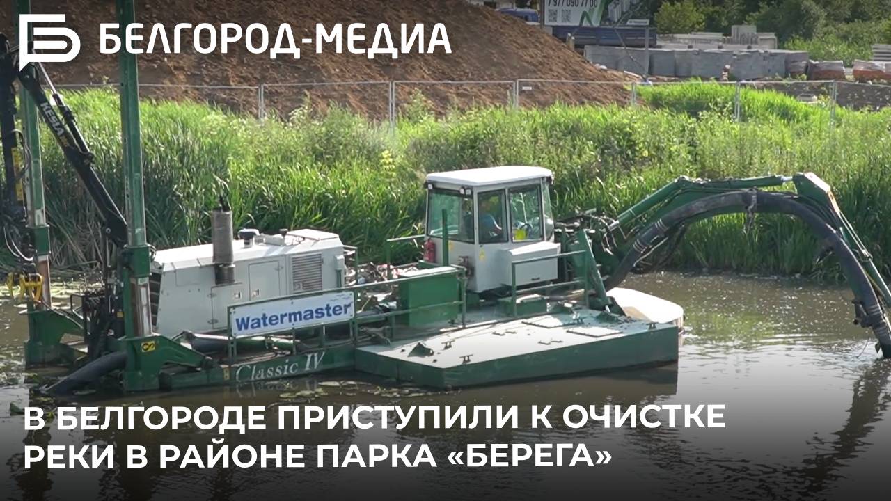 В Белгороде приступили к очистке реки в районе парка «Берега»