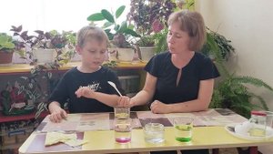 Опытно-экспериментальная деятельность с дошкольниками "Свойства воды - плотность"