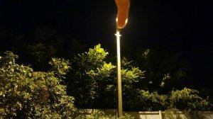 Ветер, деревья, ночь