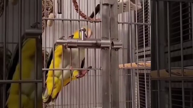 Миссия выполнима!