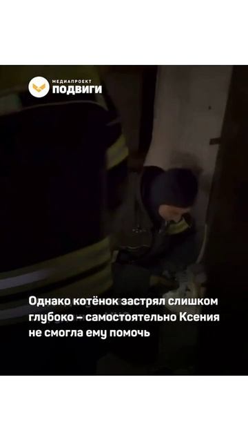 В Москве неравнодушные люди спасли котёнка, который упал в канализацию
