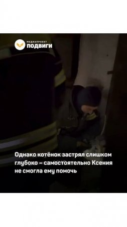 В Москве неравнодушные люди спасли котёнка, который упал в канализацию