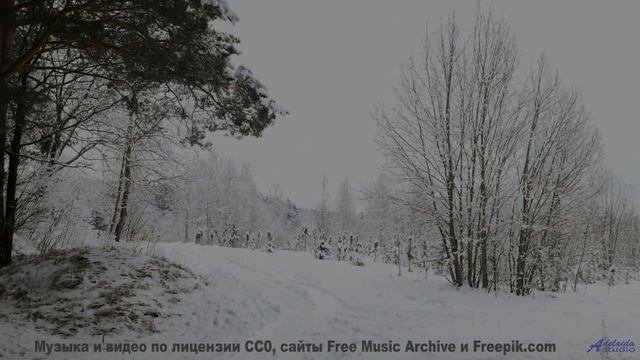 Клип, созданный искусственной нейросетью - новое слово в искусстве! - Talk About the Weather -- Les