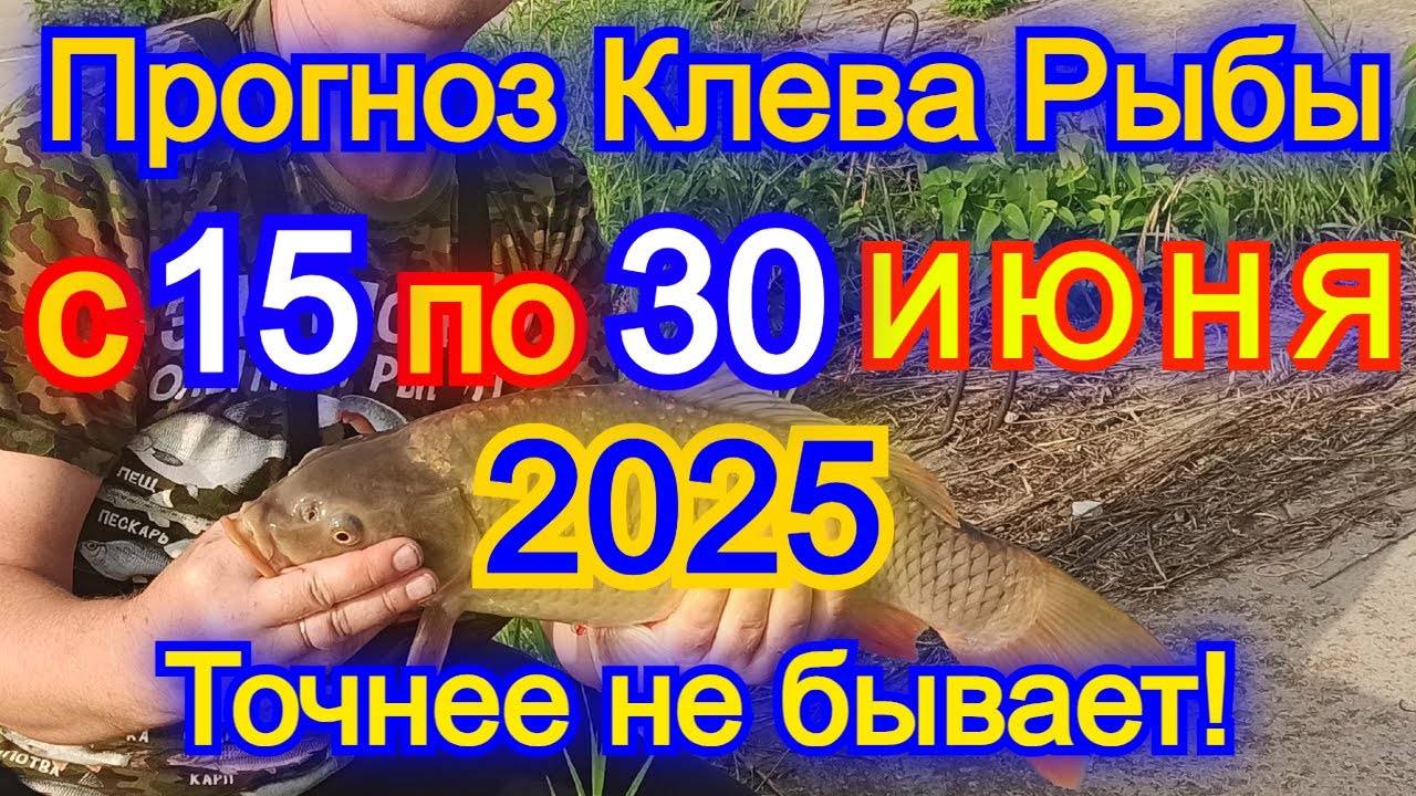 Календарь клева рыбы с 15 по 30 июня 2025 Прогноз клева рыбы Лунный Календарь рыбака 2025!