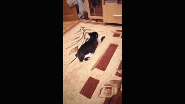 киноЗРИТЕЛЬ смотреть онлайн