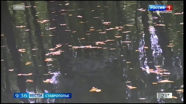 Сезон охоты на водоплавающую дичь открывается на Ставрополье