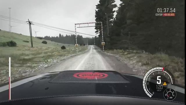 Лесные приключения: Моя борьба за первое место в Dirt Rally