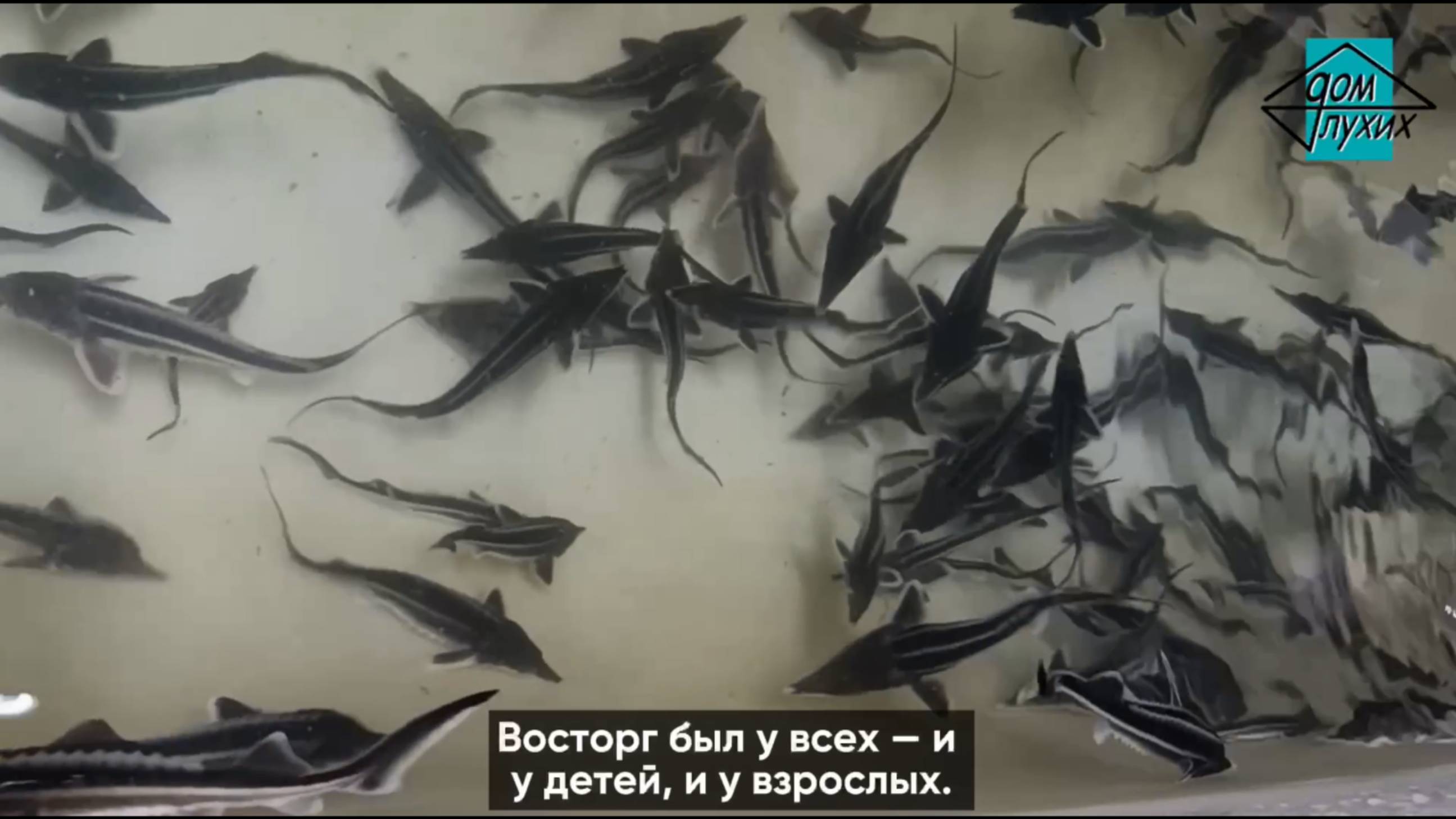 Гастротур на РЖЯ в Подмосковье