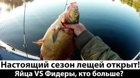Ловля трофейных лещей с лодки на "Яйца" и "Фидеры". Какая снасть уловистей?