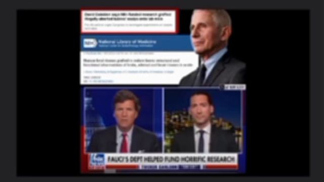 США. Эксперименты с абортированными младенцами...