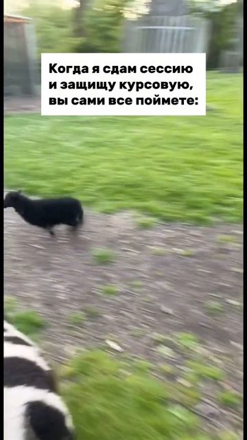 Счастья нет придела