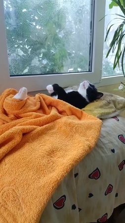 ты иди на работу, а я ещё полежу😃
