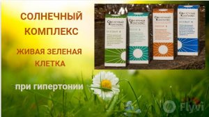 Отзыв. Живая Зеленая Клетка (СоК) при гипертонии. Шампунь. Zoom по результатам
