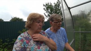 На участке у Любаши. Теплица «Капля». Хочу такую Княженику. Клематис тоже такой хочу 🤣