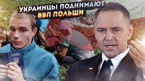 «Спасибо за труд, холопы!» – Польша растит ВВП на украинских спинах