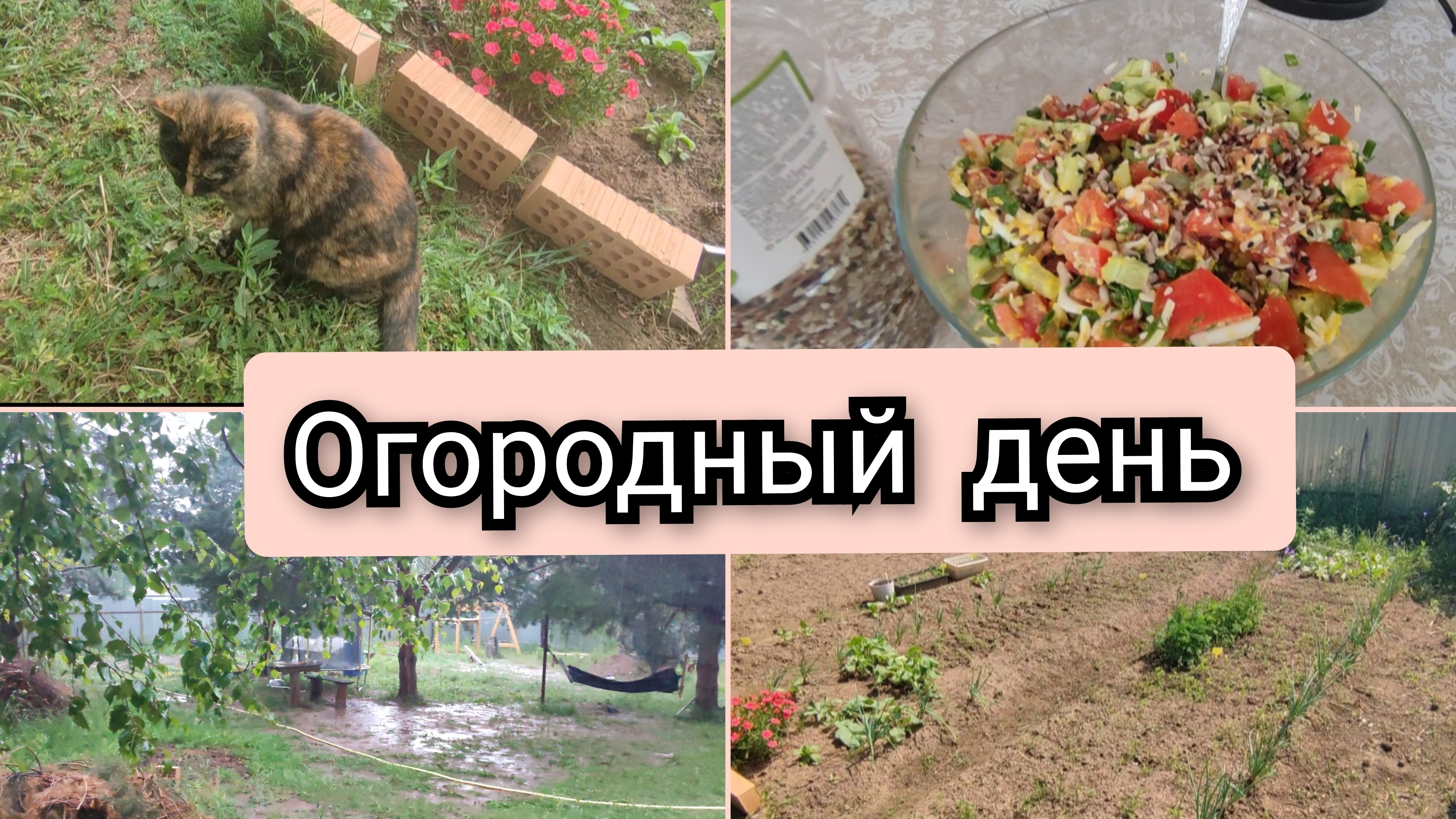 Огородные дела🌲Жара и дождь💦Кто ест ягоды...