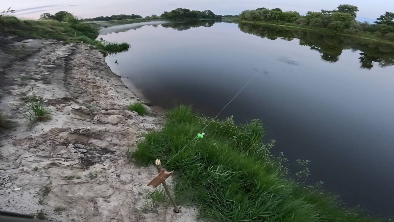 Донка всегда ловит!
Рыбалка на донку в июне 2025 года