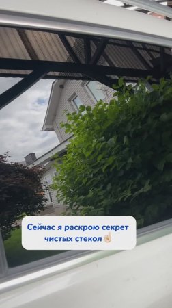 Пенный спрей-очиститель BRANDFREE
Идеально для ухода за пластиковыми и стеклянными окнами